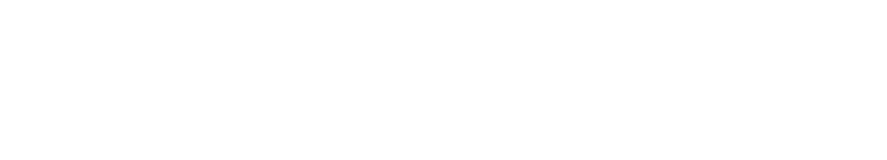 IS-POLISHER